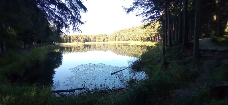 Laghi.......del TRENTINO